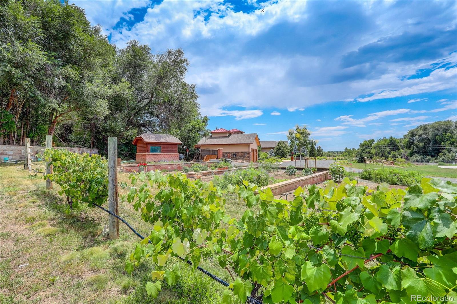 MLS Image #30 for 1919  3rd avenue,longmont, Colorado