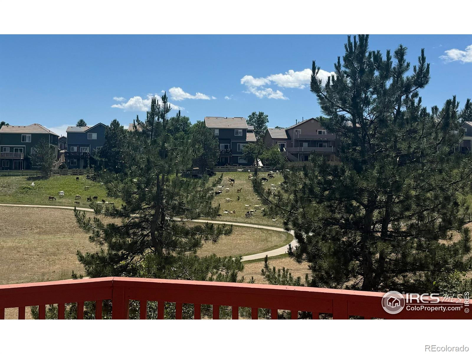 MLS Image #37 for 2990 n torreys peak drive,superior, Colorado