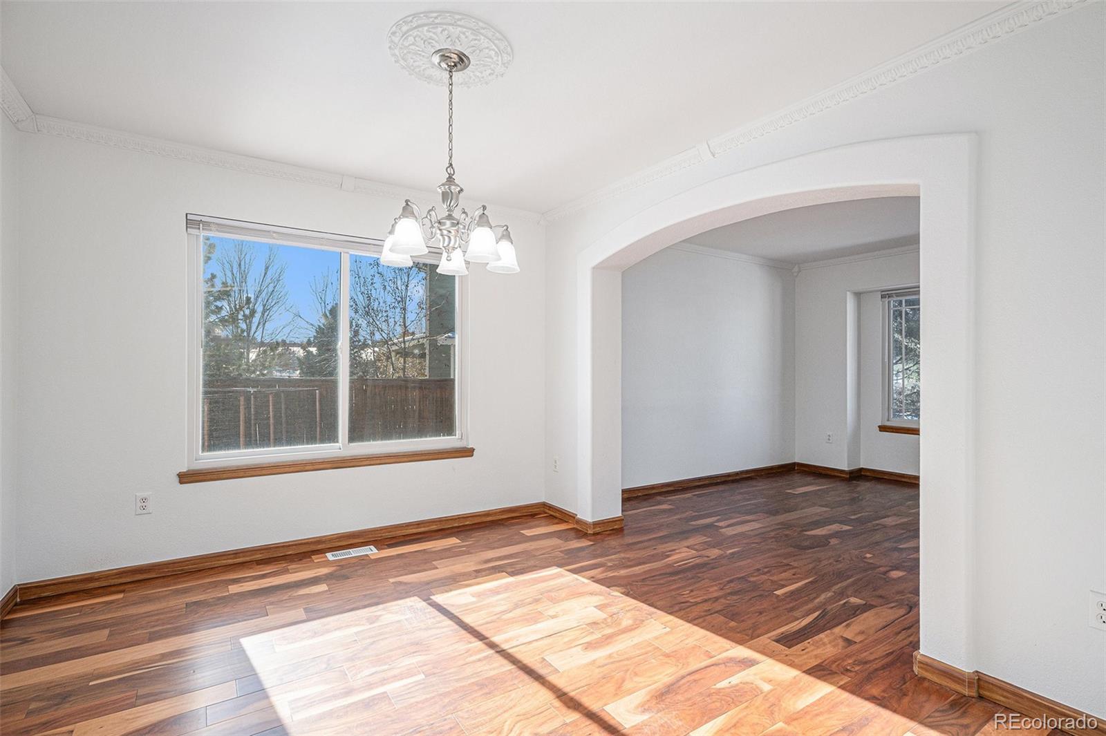 MLS Image #10 for 3600  sawgrass trail,castle rock, Colorado