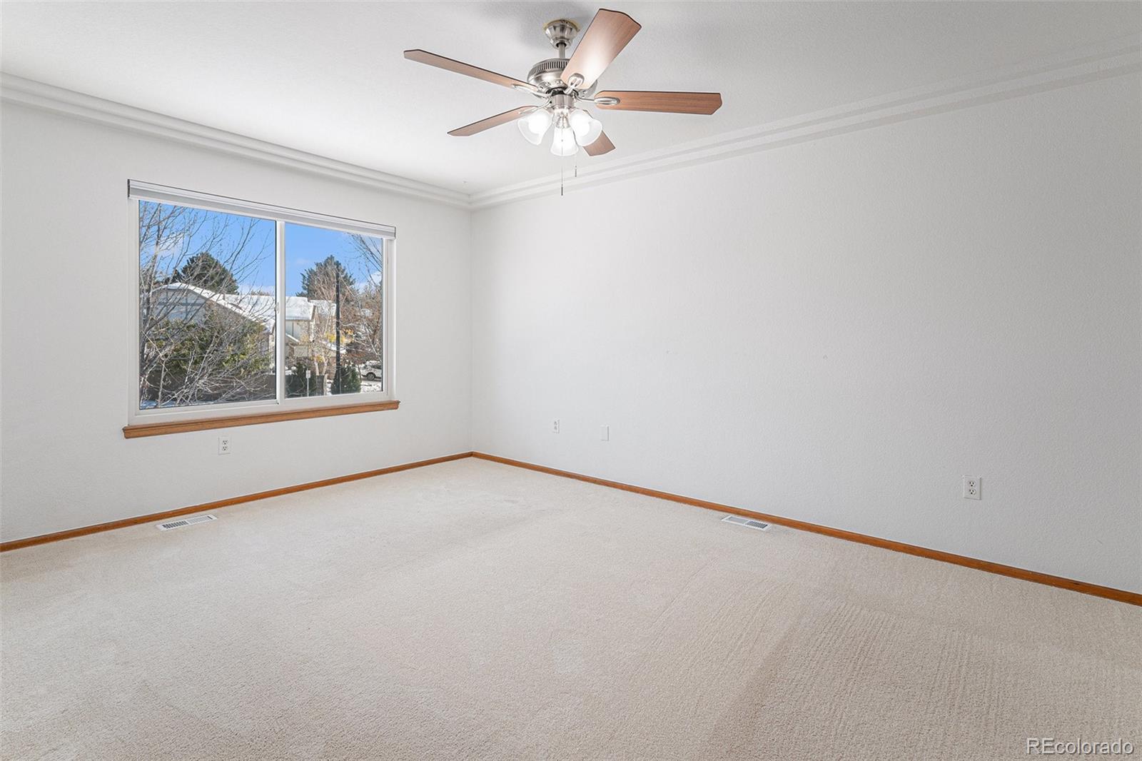 MLS Image #14 for 3600  sawgrass trail,castle rock, Colorado