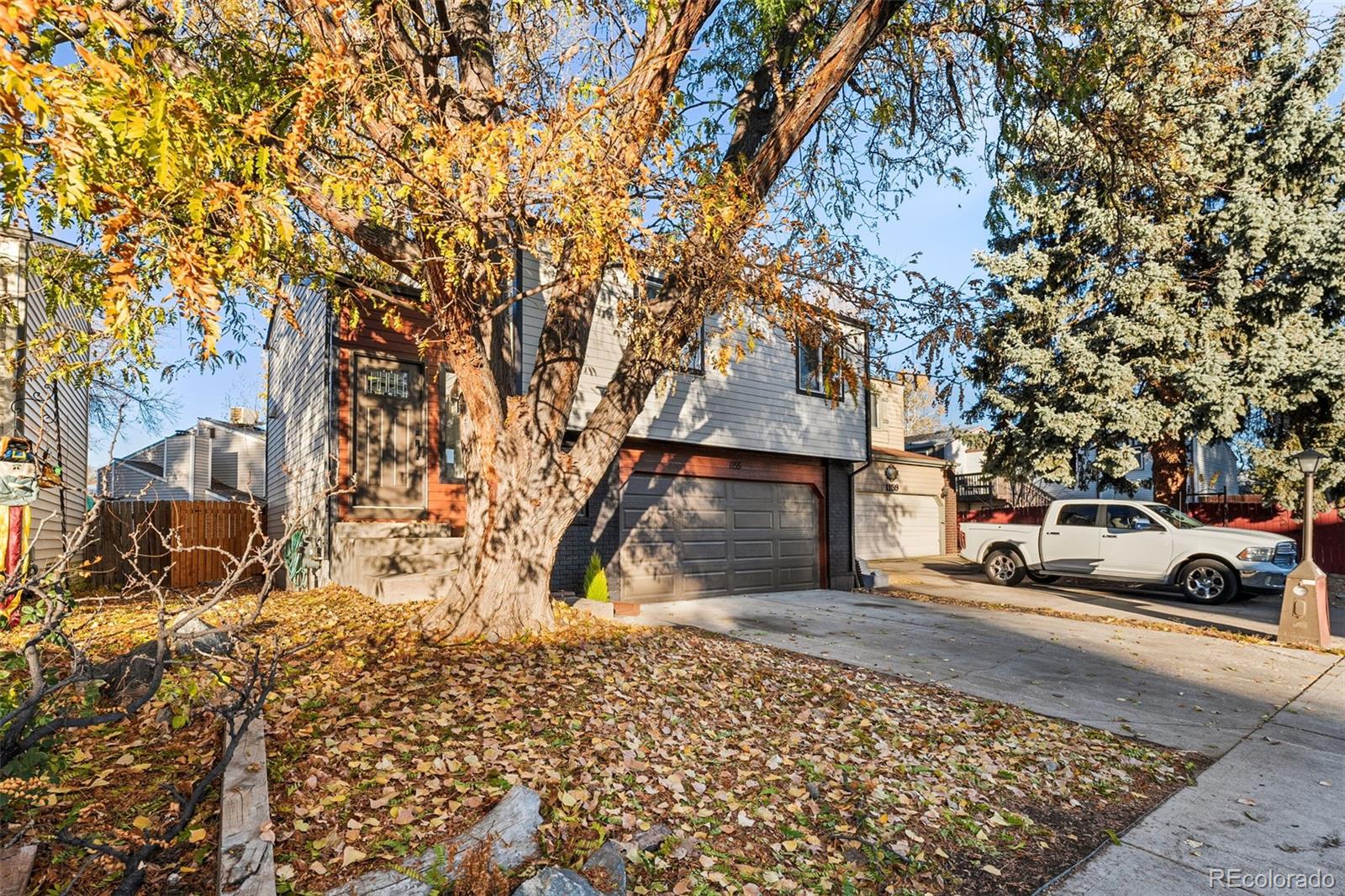 MLS Image #0 for 1155  meadow street,longmont, Colorado