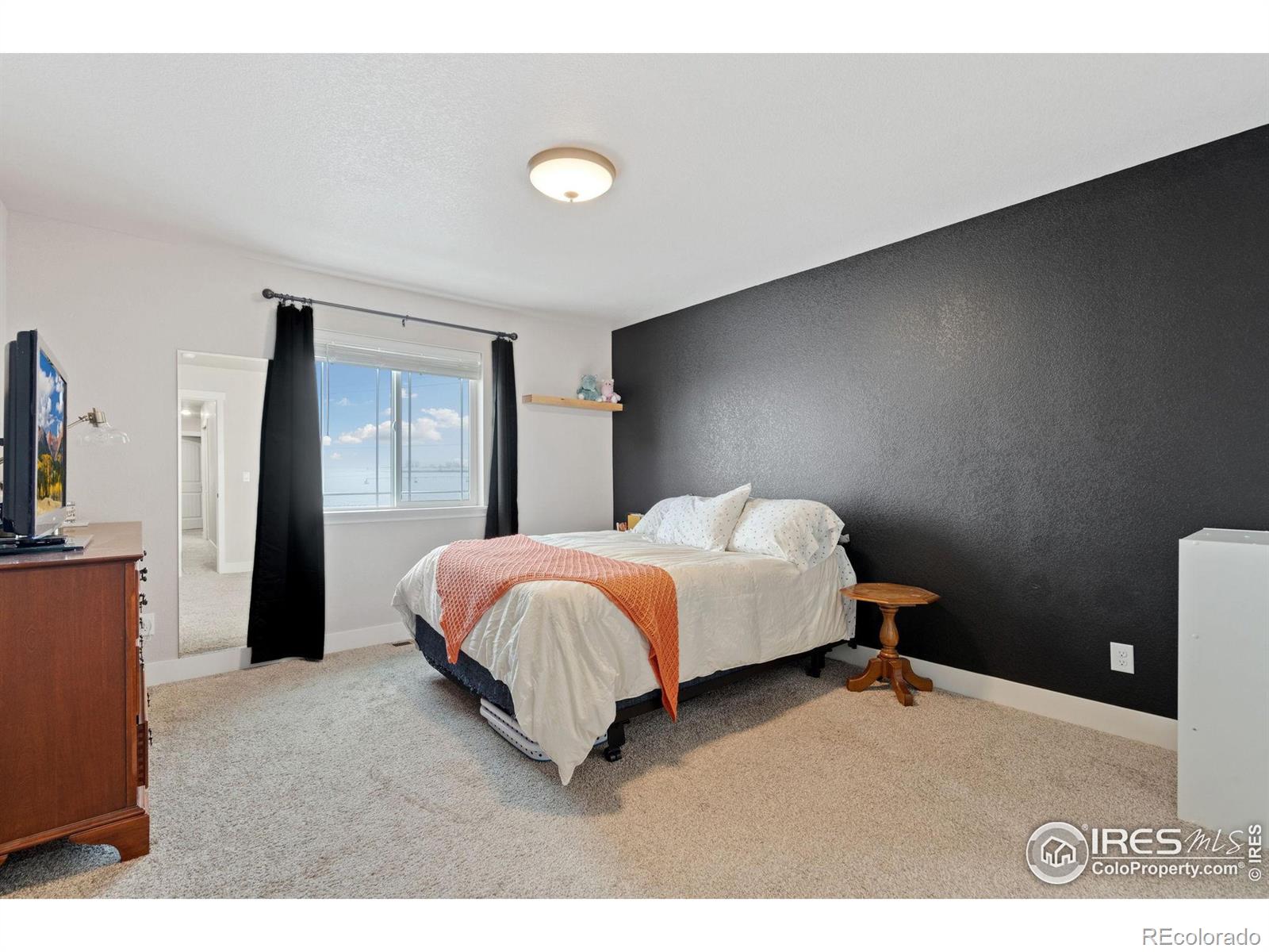 MLS Image #10 for 1760  westward circle,eaton, Colorado