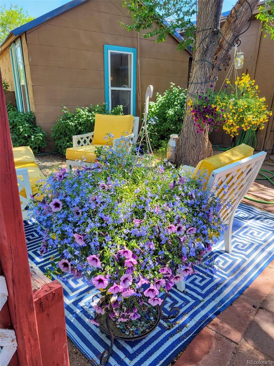 MLS Image #0 for 5385  henry street,mosca, Colorado