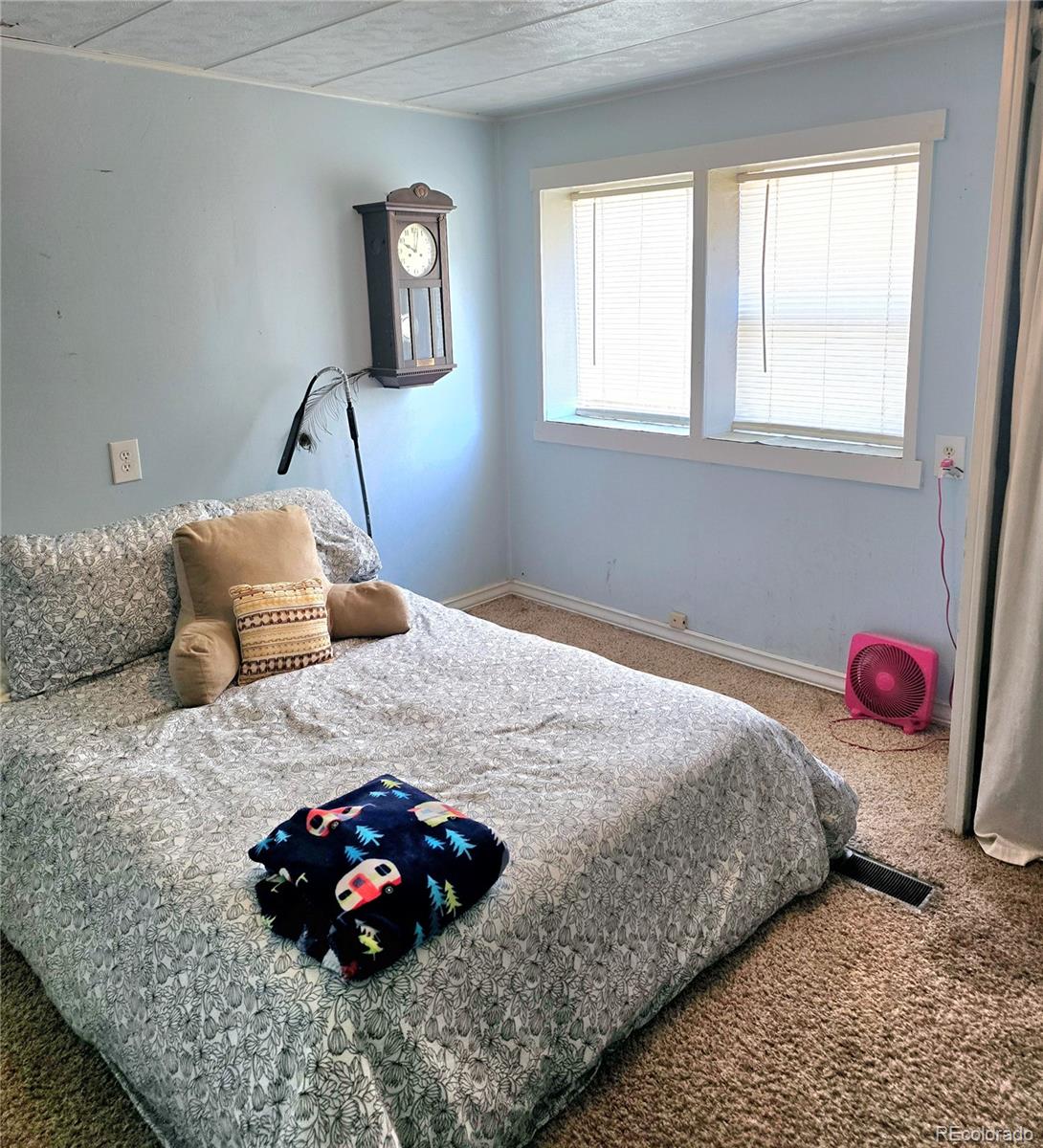 MLS Image #15 for 5385  henry street,mosca, Colorado