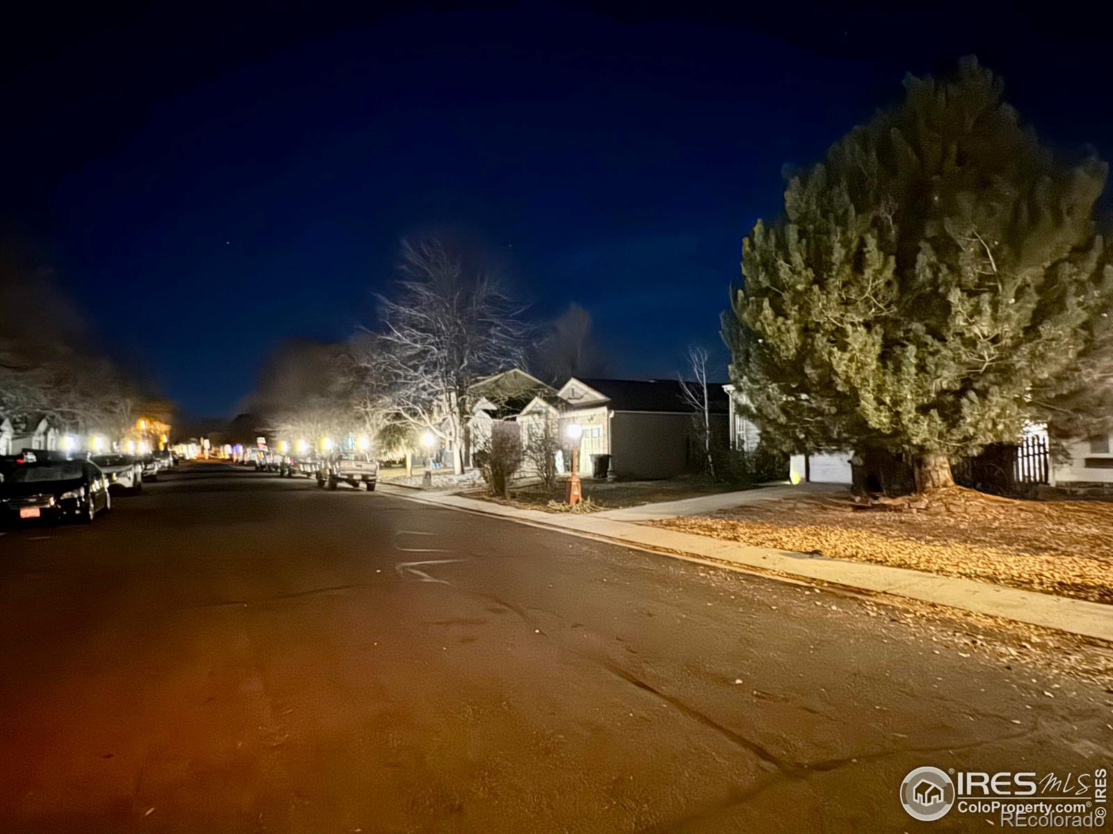 MLS Image #14 for 1602  ervine avenue,longmont, Colorado