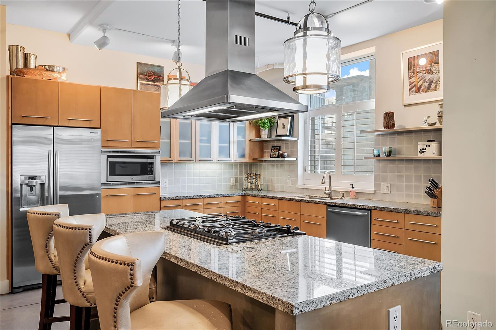 MLS Image #1 for 1610  little raven street,denver, Colorado