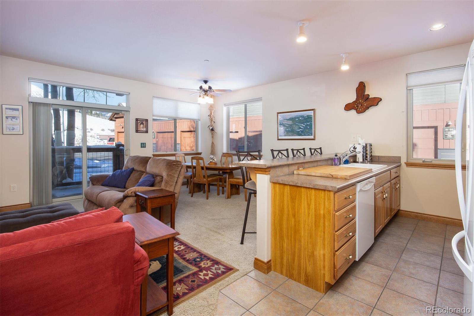 MLS Image #18 for 850  blue river parkway,silverthorne, Colorado
