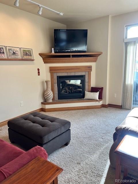 MLS Image #7 for 850  blue river parkway,silverthorne, Colorado