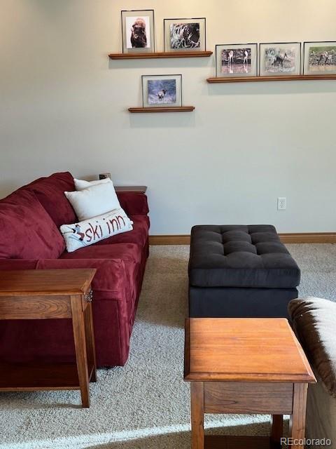 MLS Image #9 for 850  blue river parkway,silverthorne, Colorado