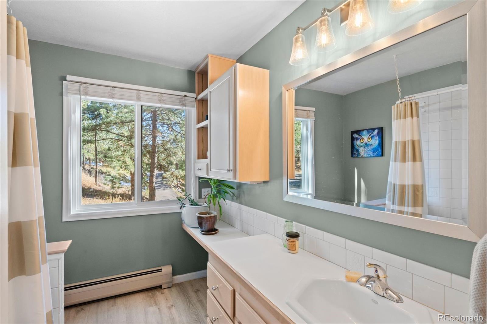 MLS Image #20 for 3917  ponderosa drive,evergreen, Colorado