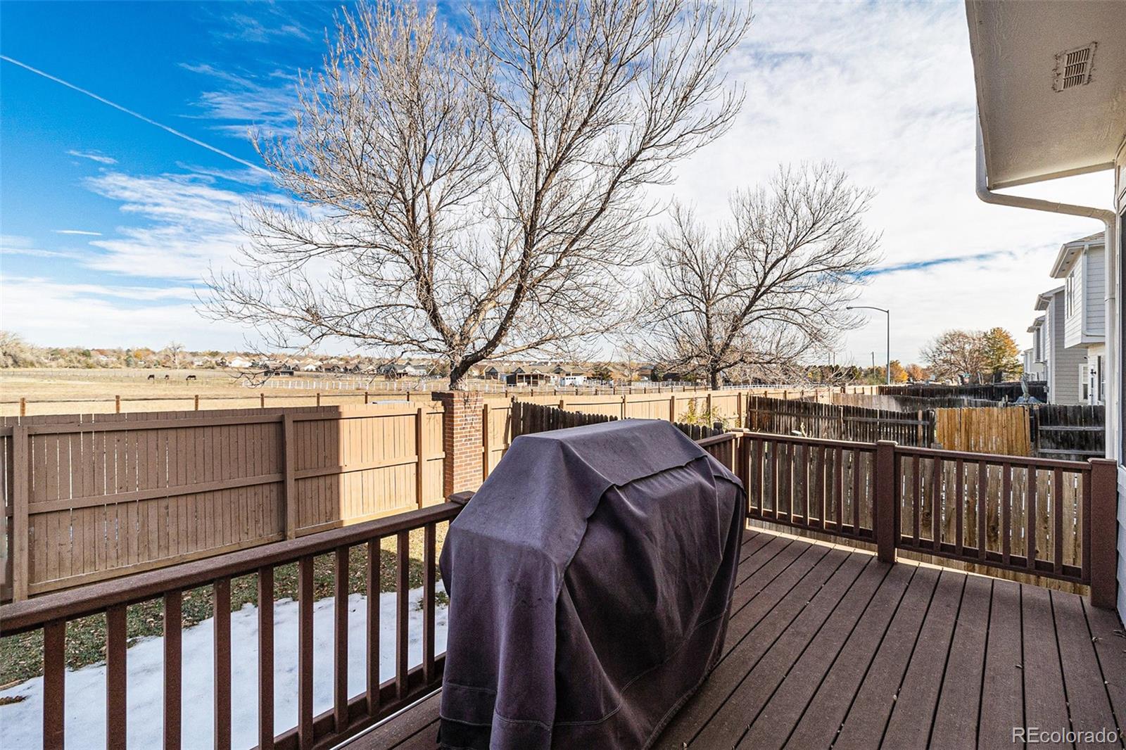 MLS Image #21 for 3265 e 123rd drive,thornton, Colorado