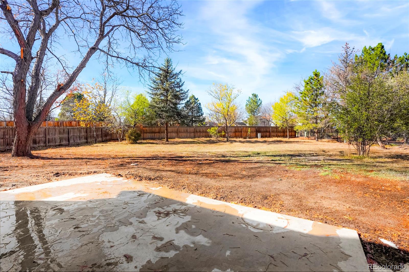 MLS Image #35 for 1269  winslow circle,longmont, Colorado