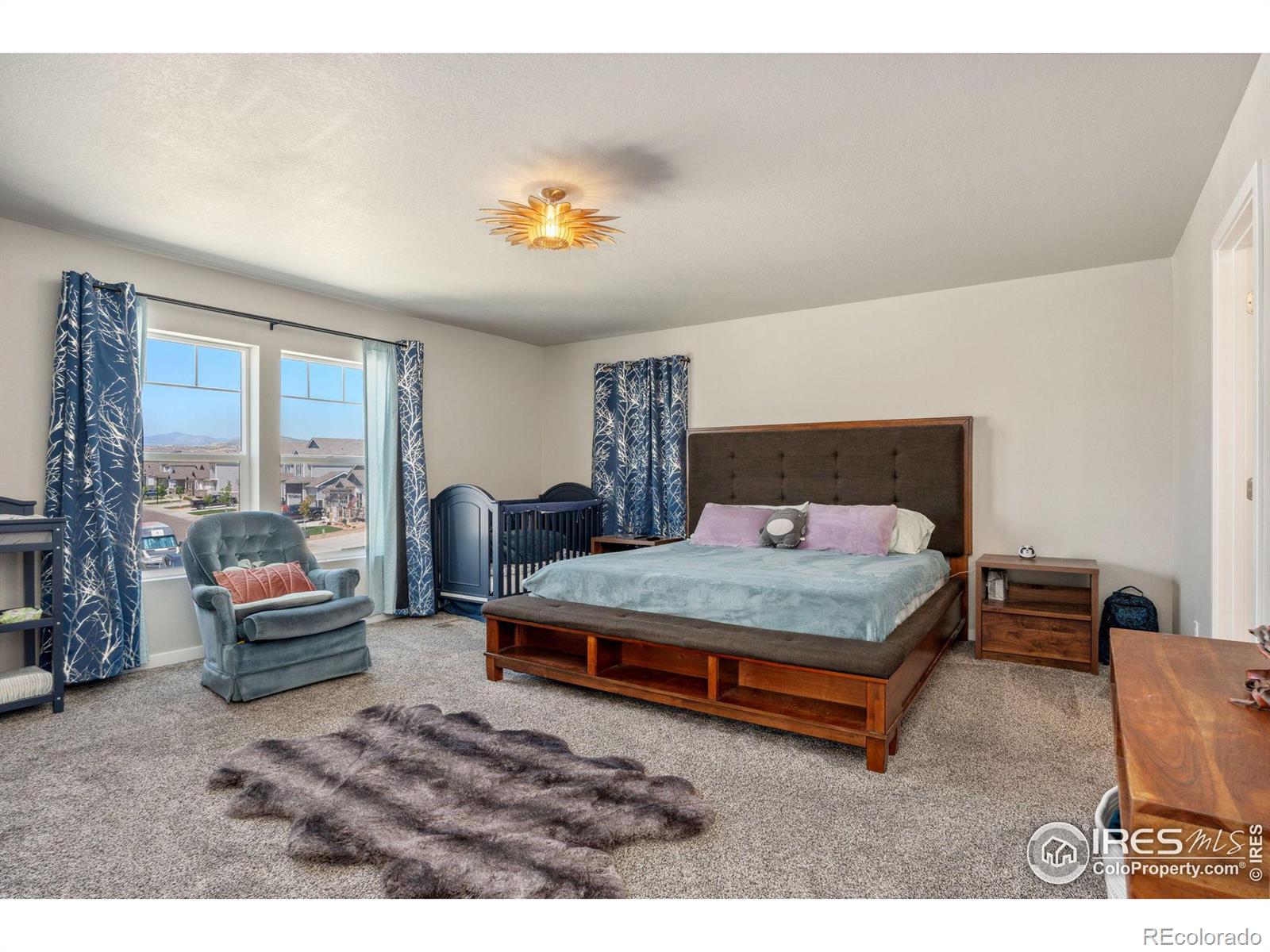 MLS Image #13 for 5690  vona drive,loveland, Colorado