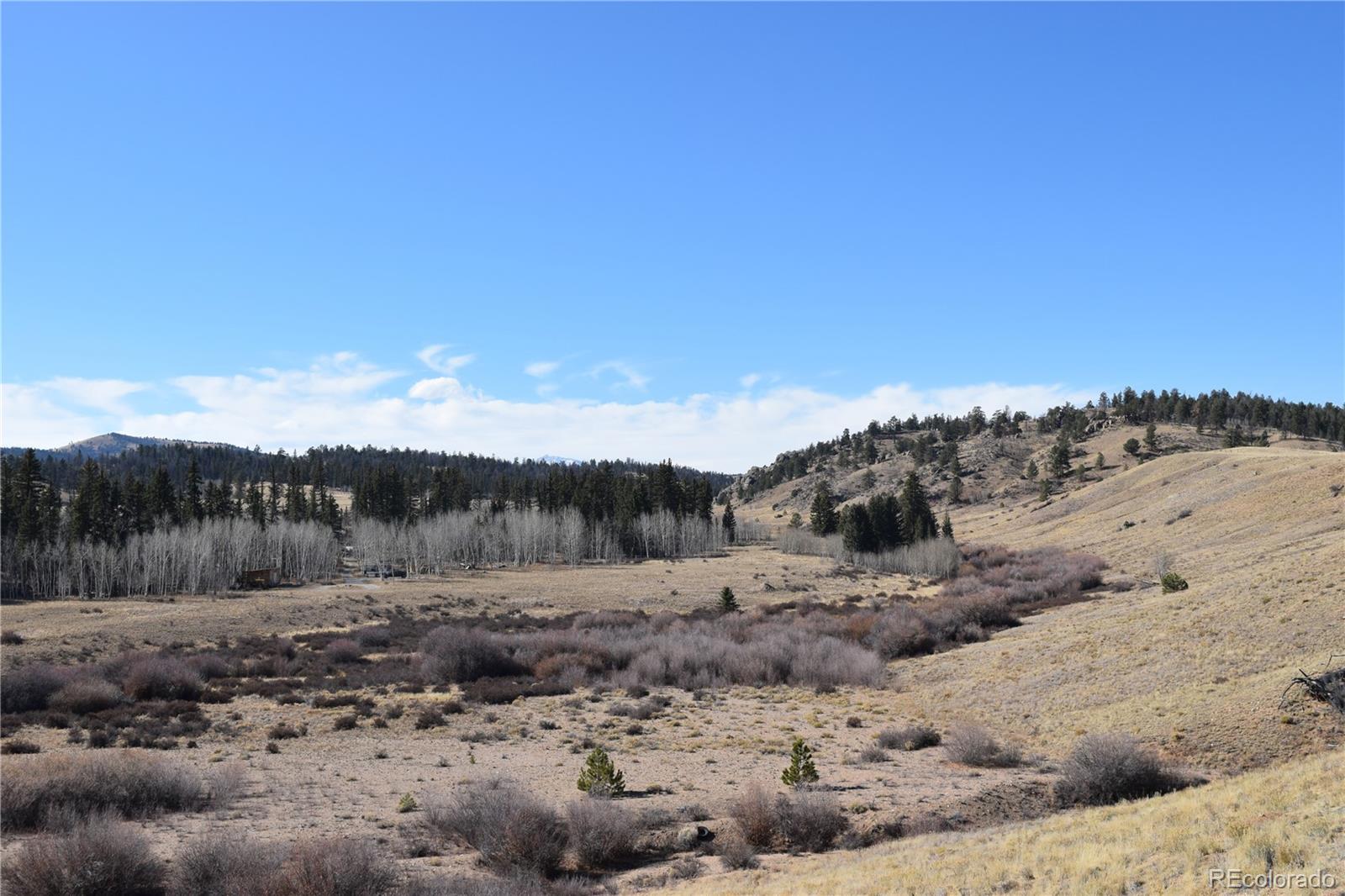 MLS Image #8 for 303  green whiskers lane,hartsel, Colorado
