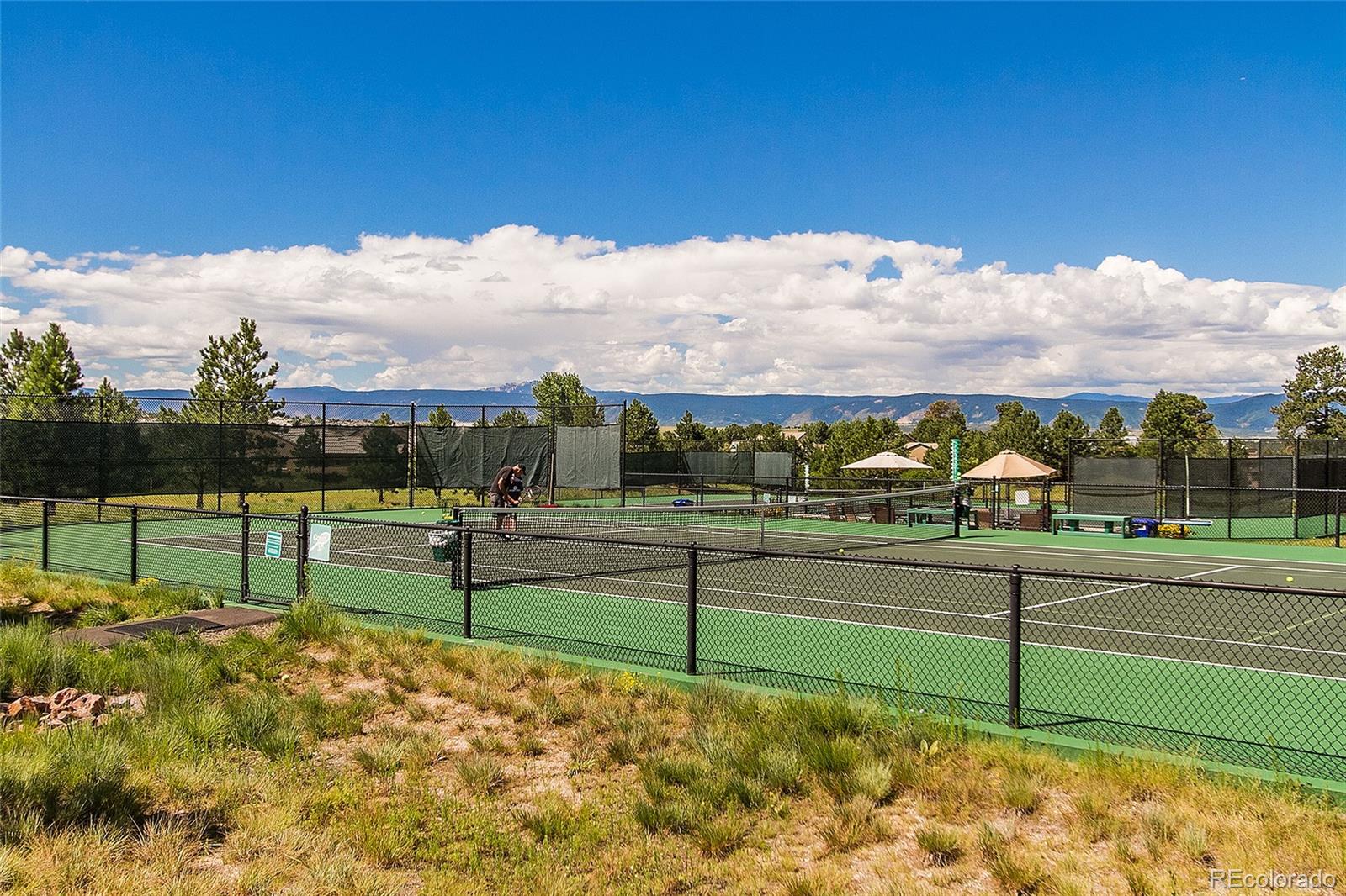 MLS Image #43 for 8014  trinity peak lane,castle rock, Colorado