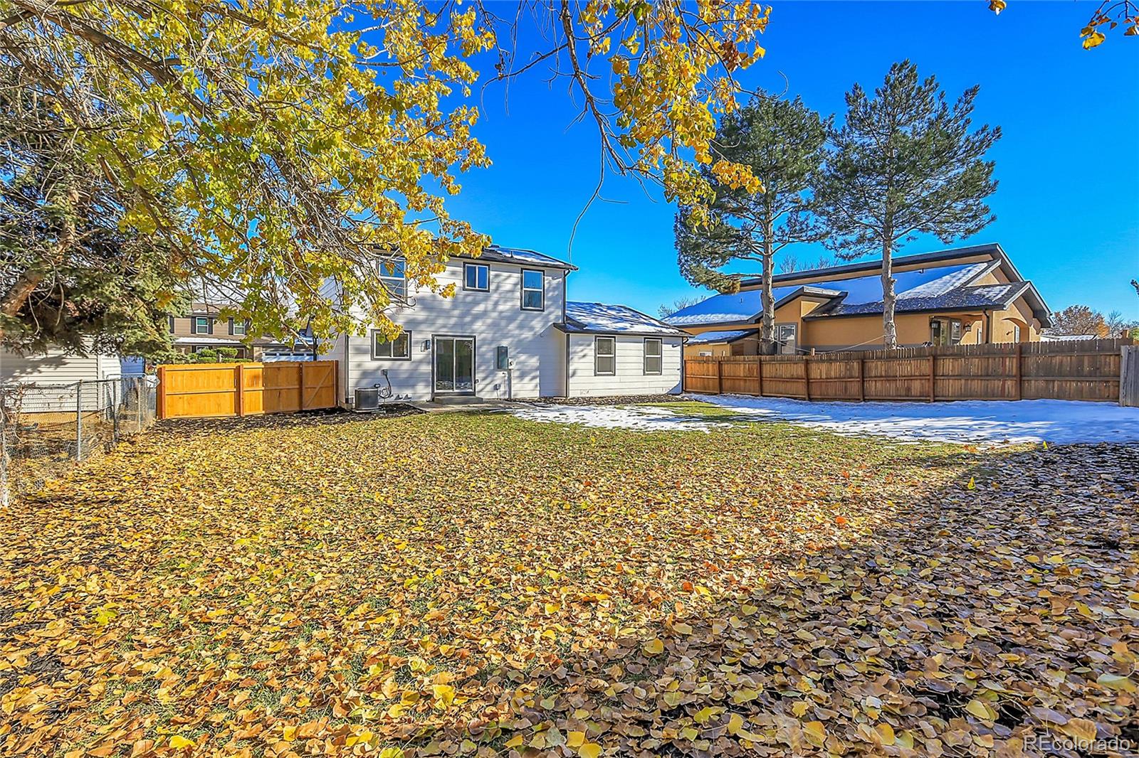 MLS Image #39 for 4535  eureka court,denver, Colorado