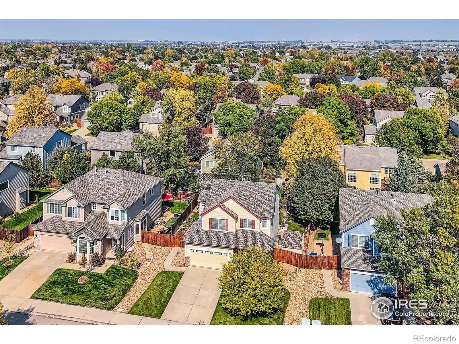 MLS Image #31 for 1028  morning dove drive,longmont, Colorado