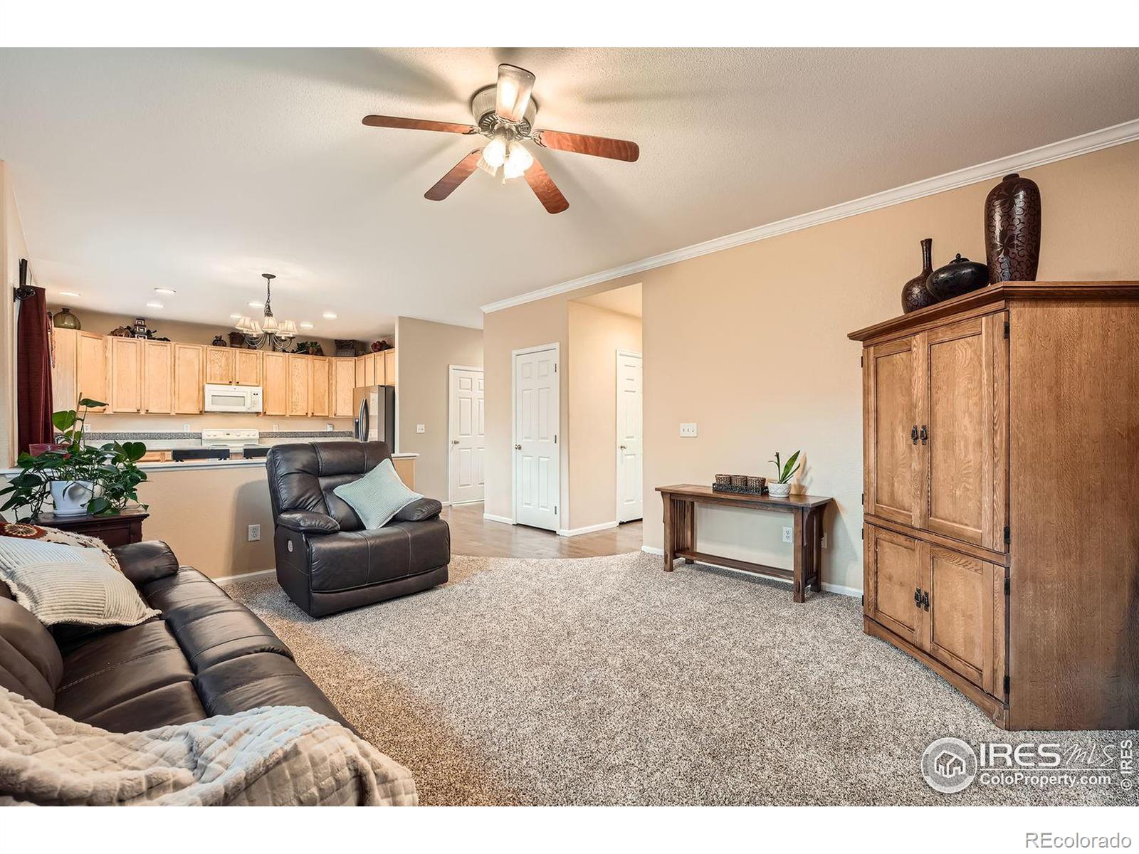 MLS Image #6 for 1028  morning dove drive,longmont, Colorado