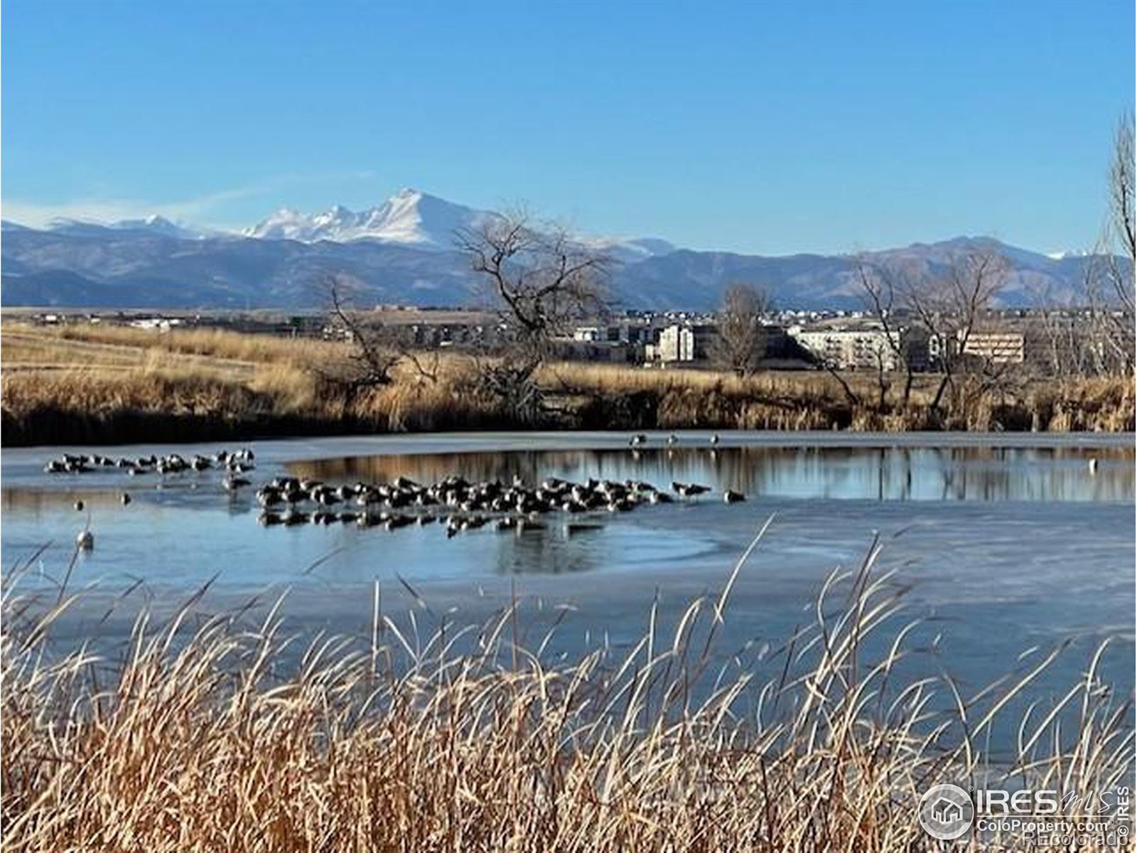 MLS Image #32 for 3353 w 11th ave dr,broomfield, Colorado