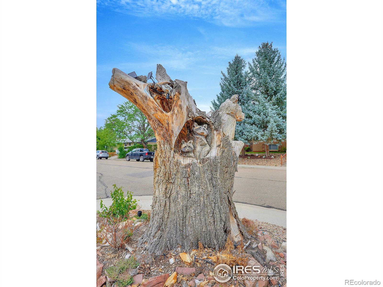 CMA Image for 218  pikes peak place,Longmont, Colorado