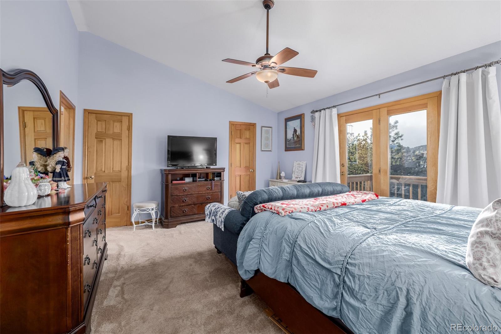 MLS Image #17 for 598  raven drive,bailey, Colorado