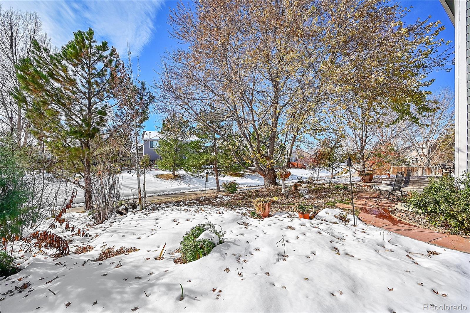 MLS Image #31 for 12381  chateau creek court,parker, Colorado