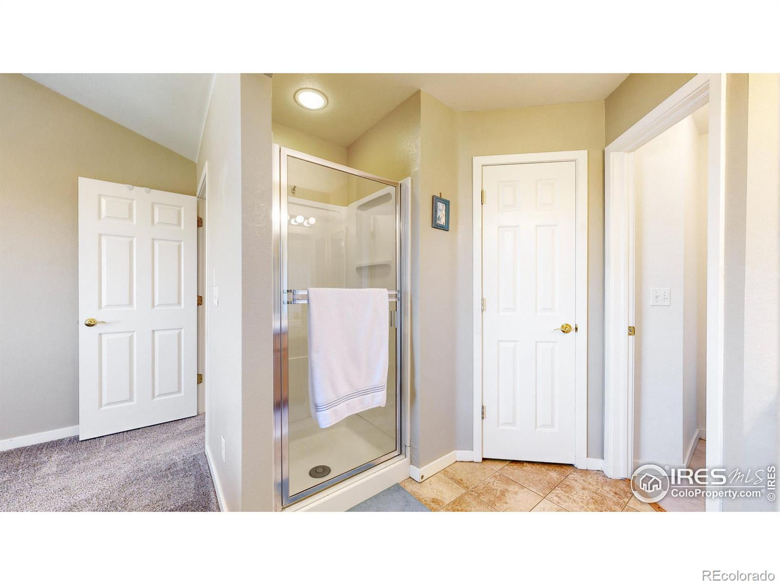 MLS Image #12 for 11376  grove street,westminster, Colorado