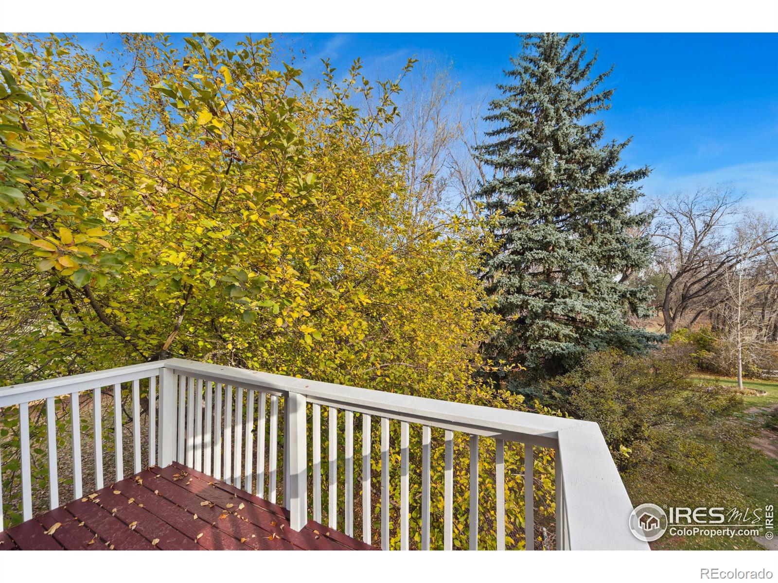 MLS Image #15 for 1606  windsor court,fort collins, Colorado
