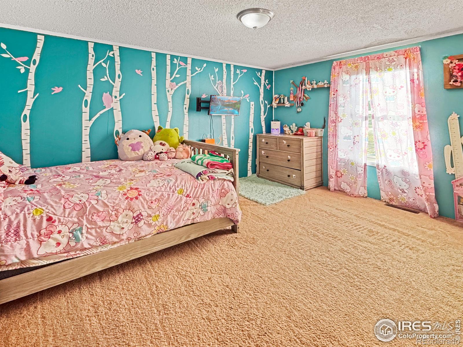 MLS Image #12 for 20910  main street,padroni, Colorado