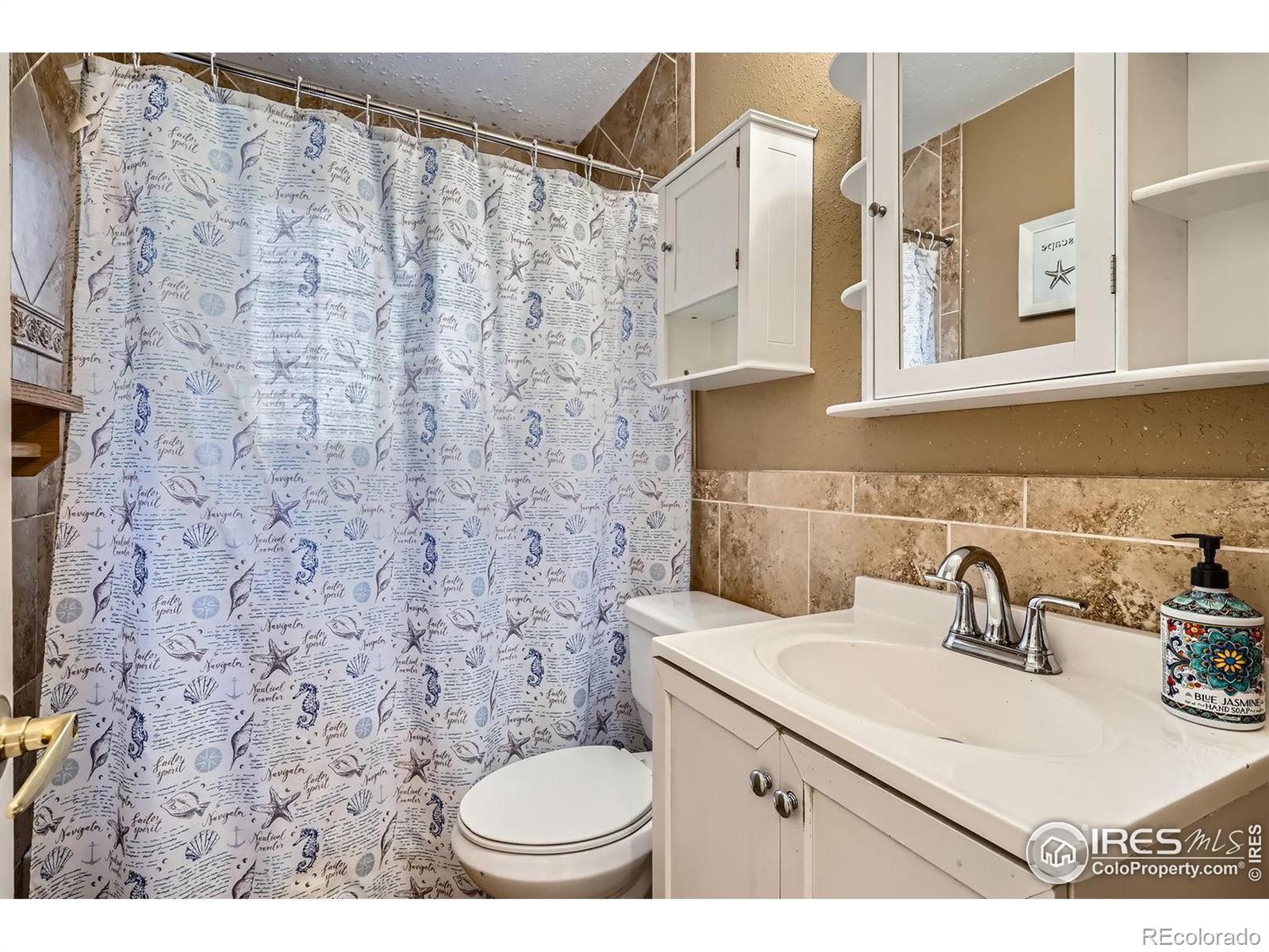 MLS Image #8 for 258 s zenobia street,denver, Colorado