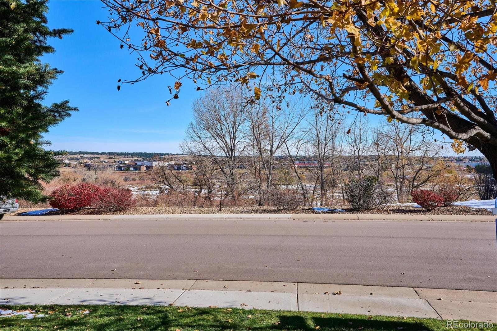 MLS Image #29 for 10239  amethyst way,parker, Colorado