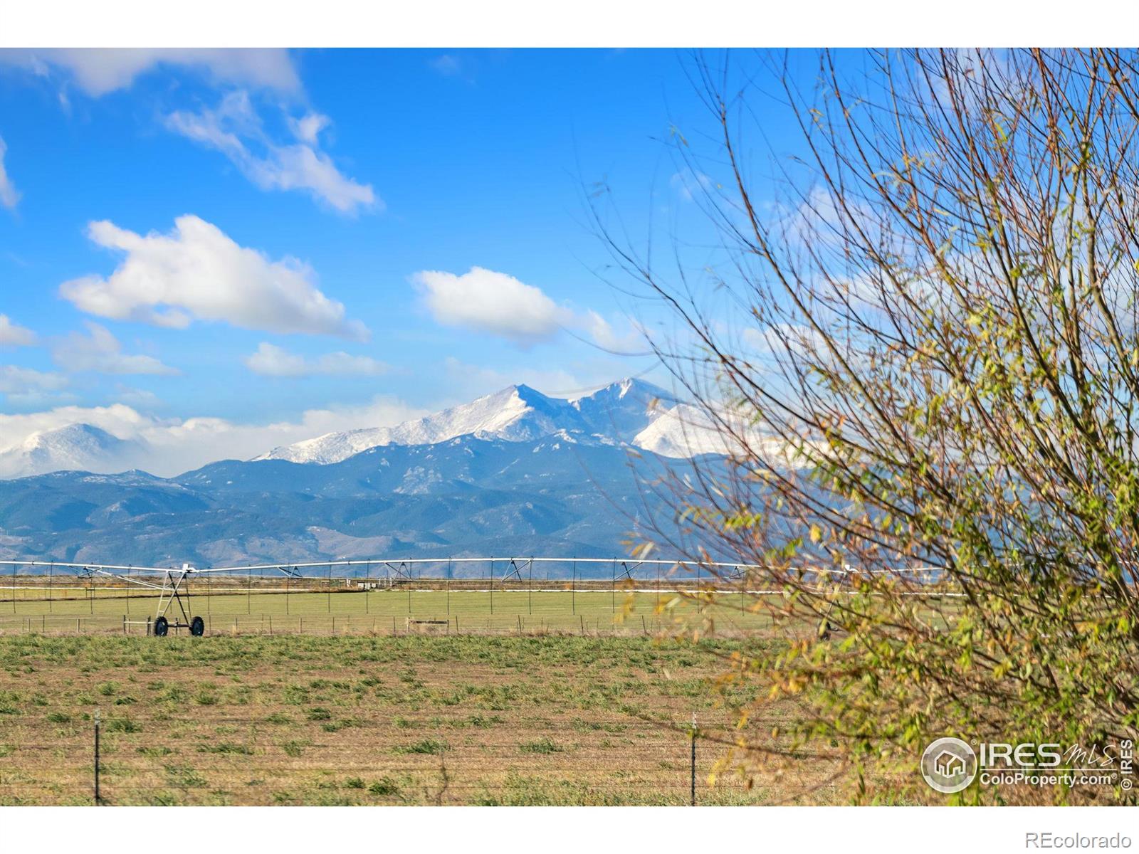 MLS Image #2 for 38973  county road 21 ,fort collins, Colorado