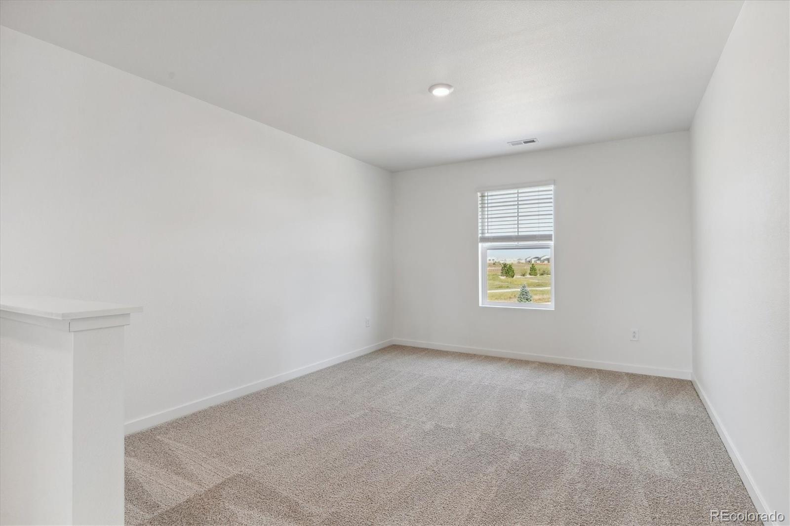 MLS Image #15 for 13603  topaz place,mead, Colorado