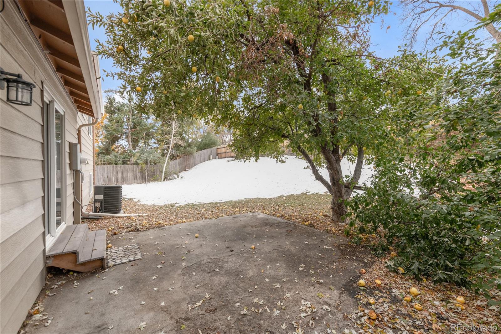 MLS Image #22 for 1553 s pierson court,denver, Colorado