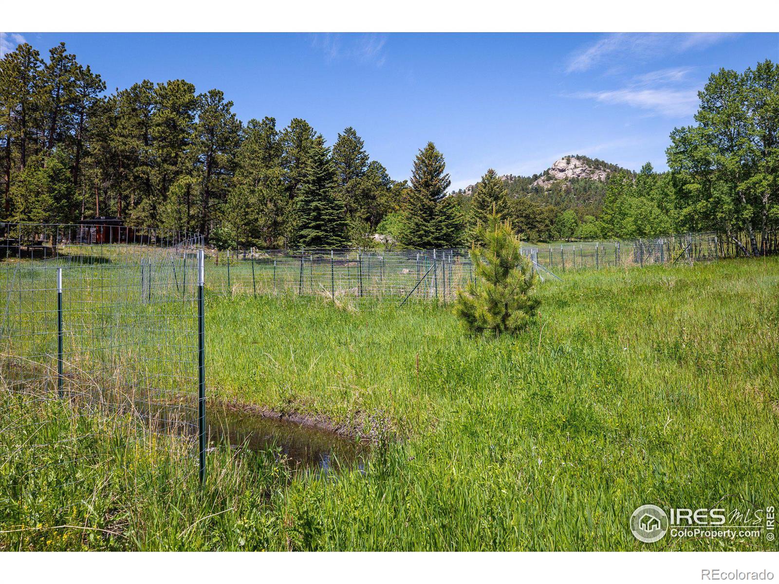 MLS Image #8 for 334  pine glade road,nederland, Colorado