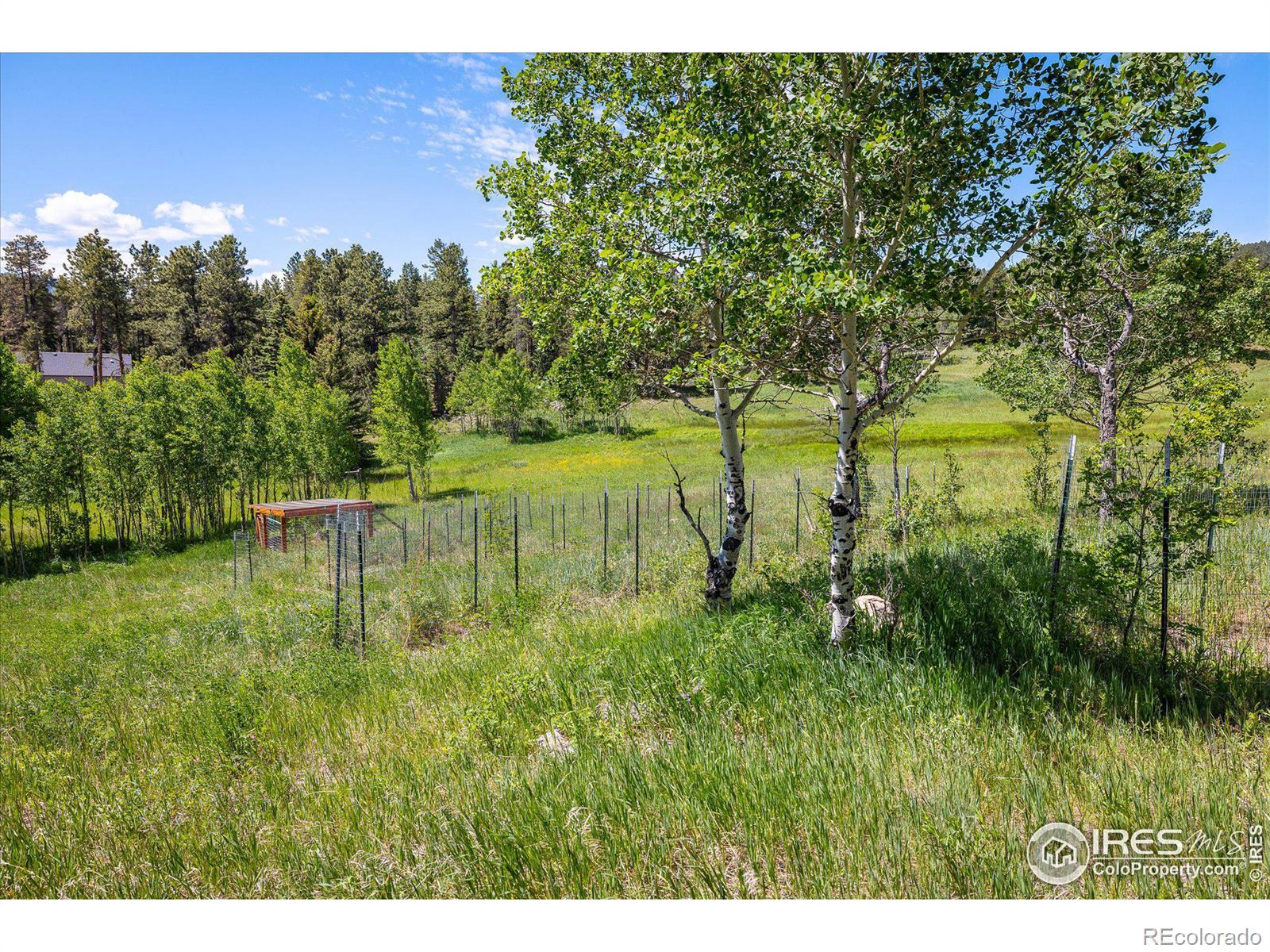 MLS Image #9 for 334  pine glade road,nederland, Colorado