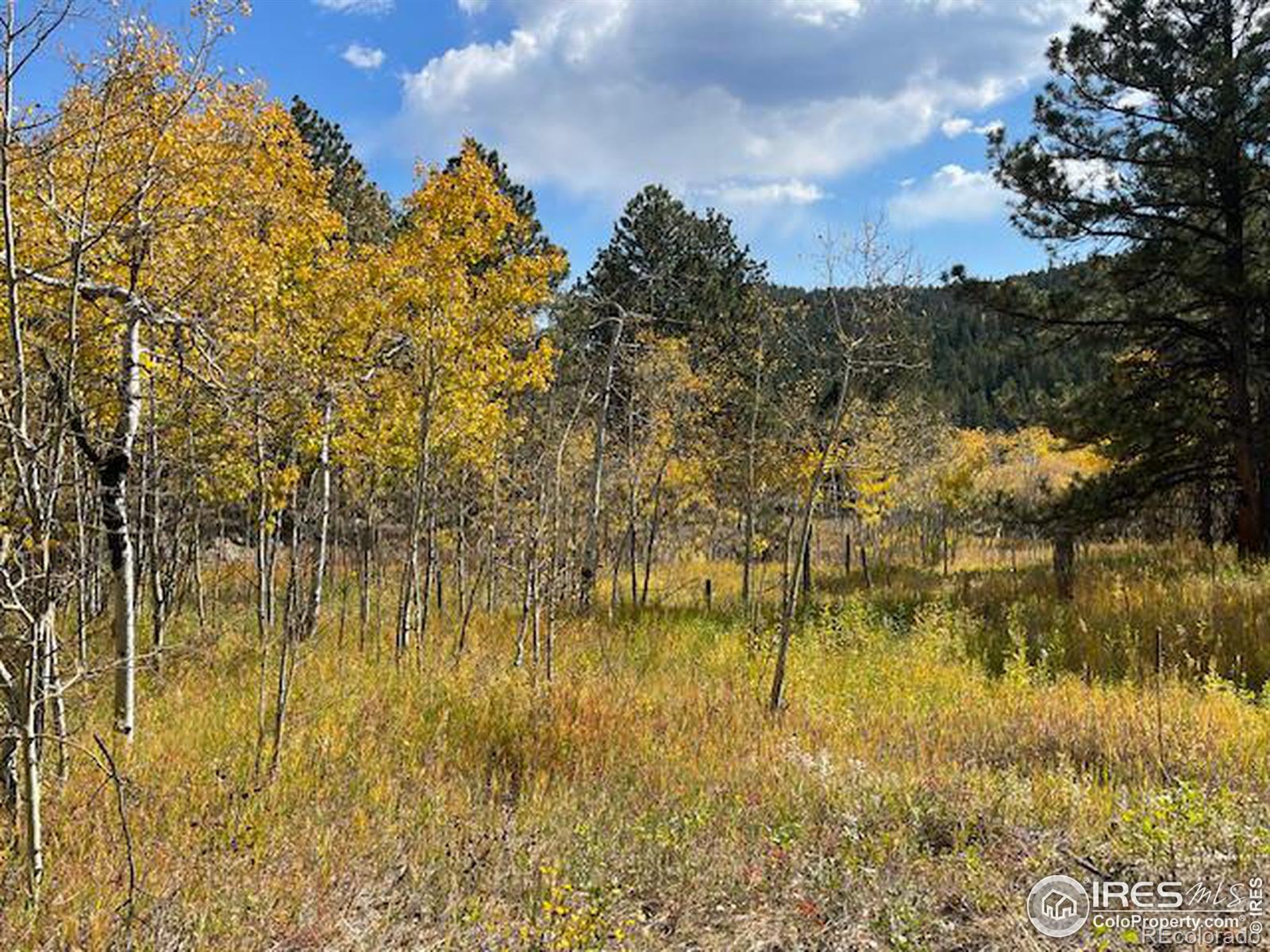 MLS Image #22 for 1820  lazy z road,nederland, Colorado