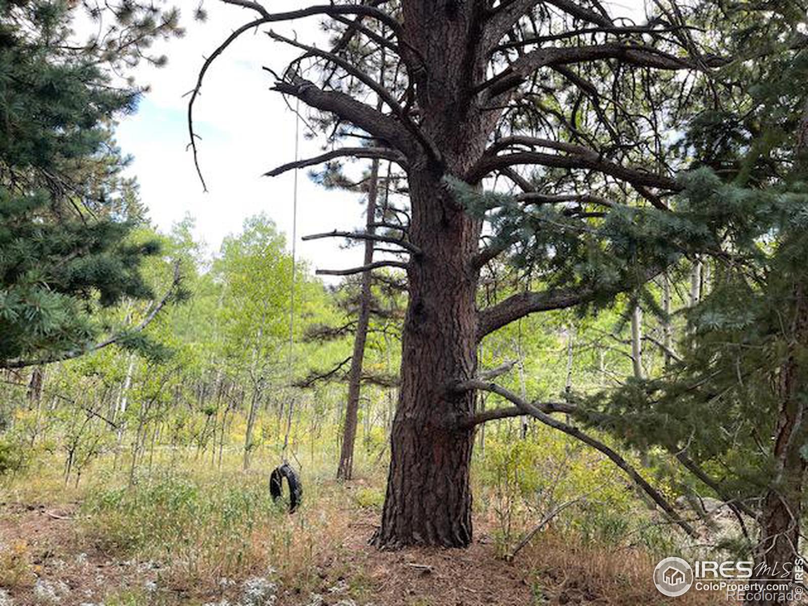 MLS Image #25 for 1820  lazy z road,nederland, Colorado