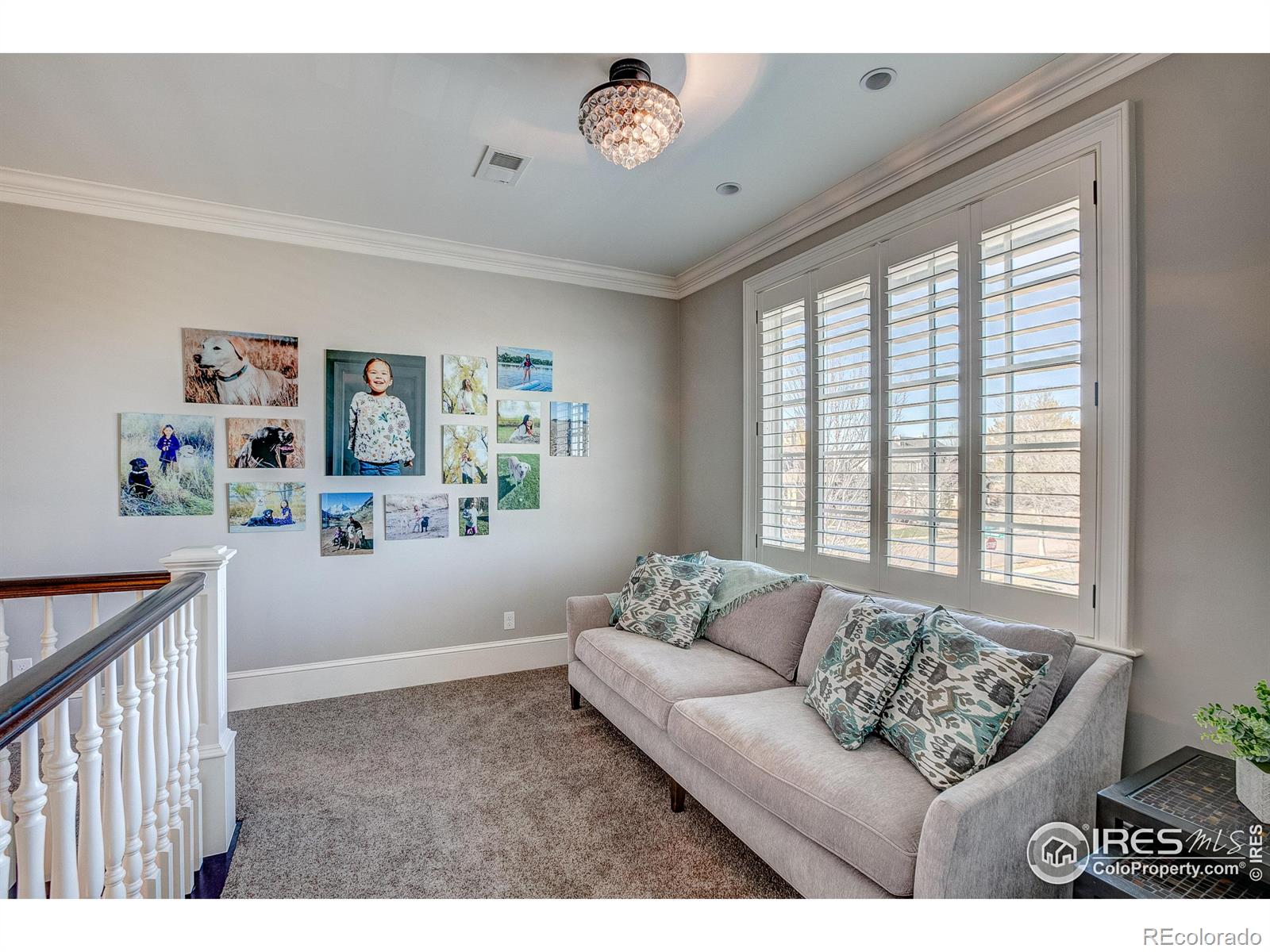 MLS Image #25 for 3003  old dominion court,fort collins, Colorado