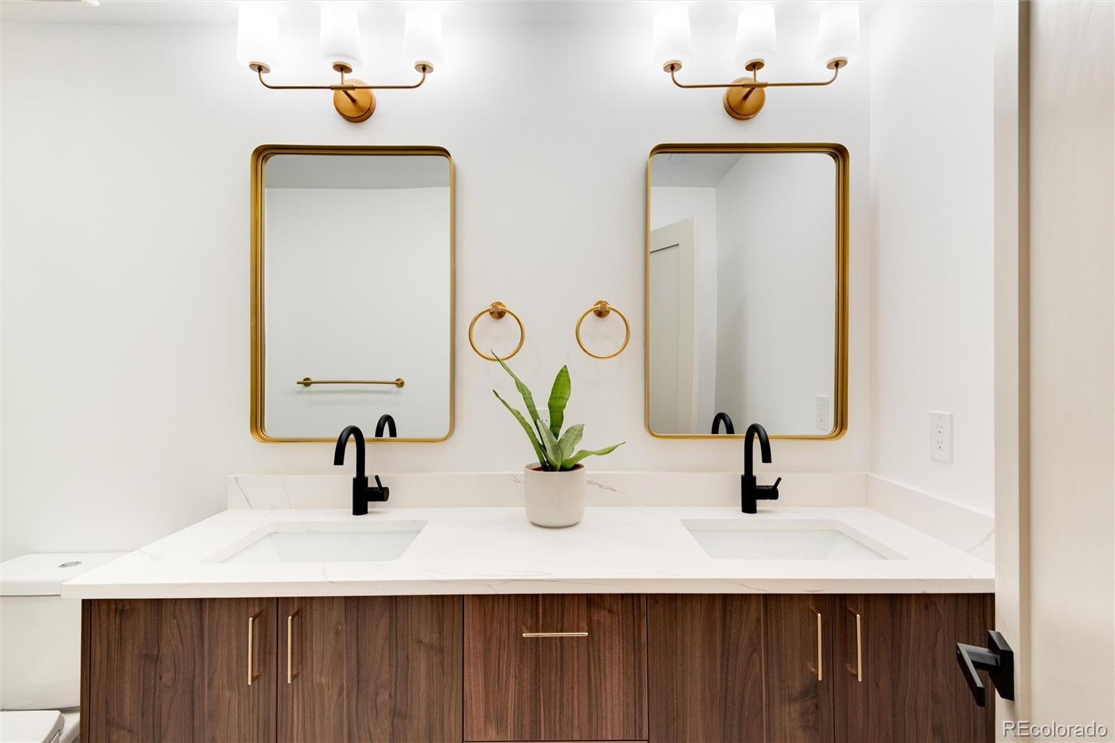 MLS Image #21 for 3044 s columbine street,denver, Colorado
