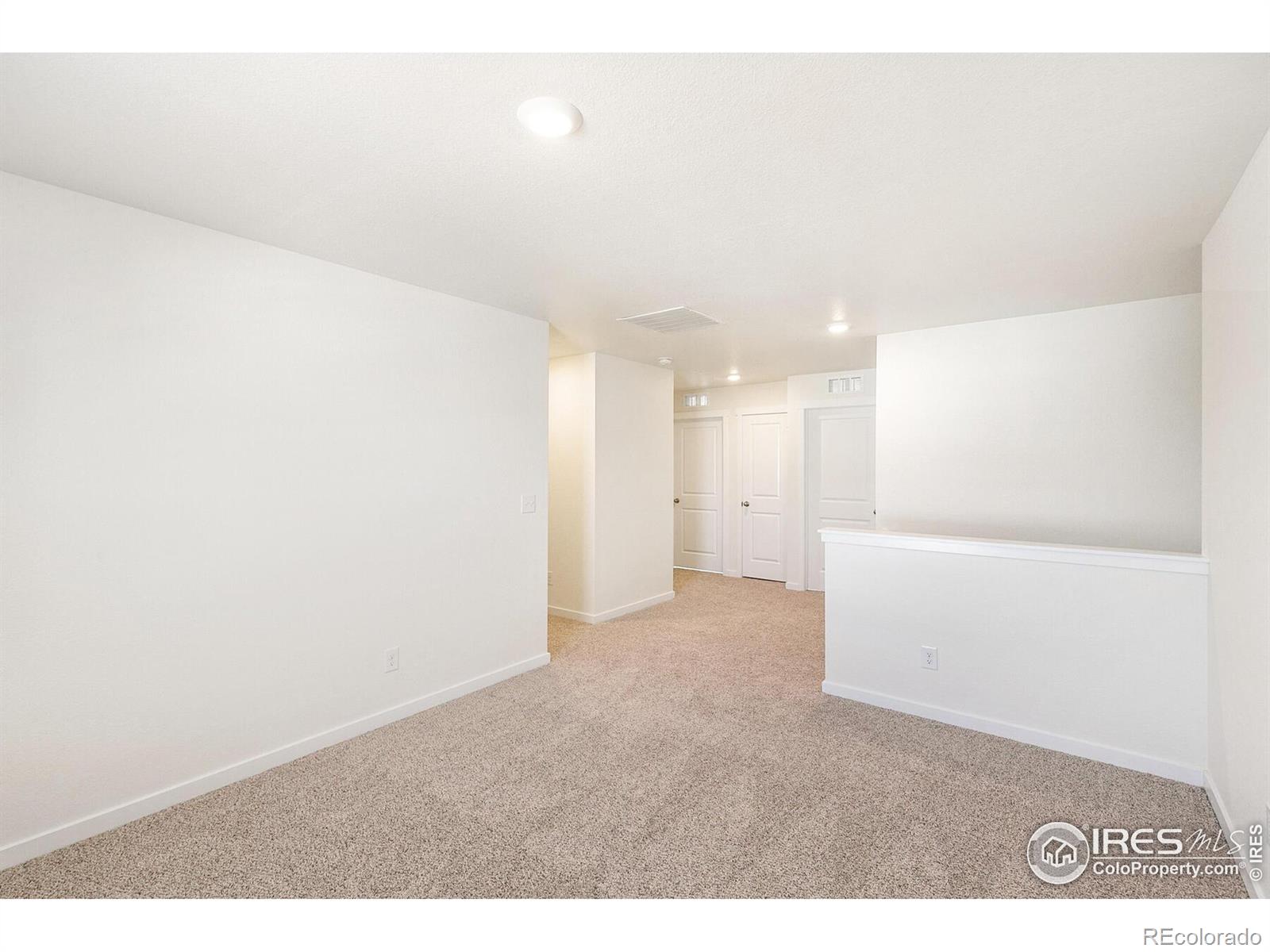 MLS Image #19 for 13607  topaz place,mead, Colorado