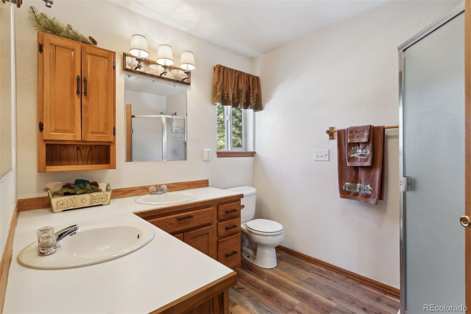 MLS Image #17 for 4055  omer lane,divide, Colorado