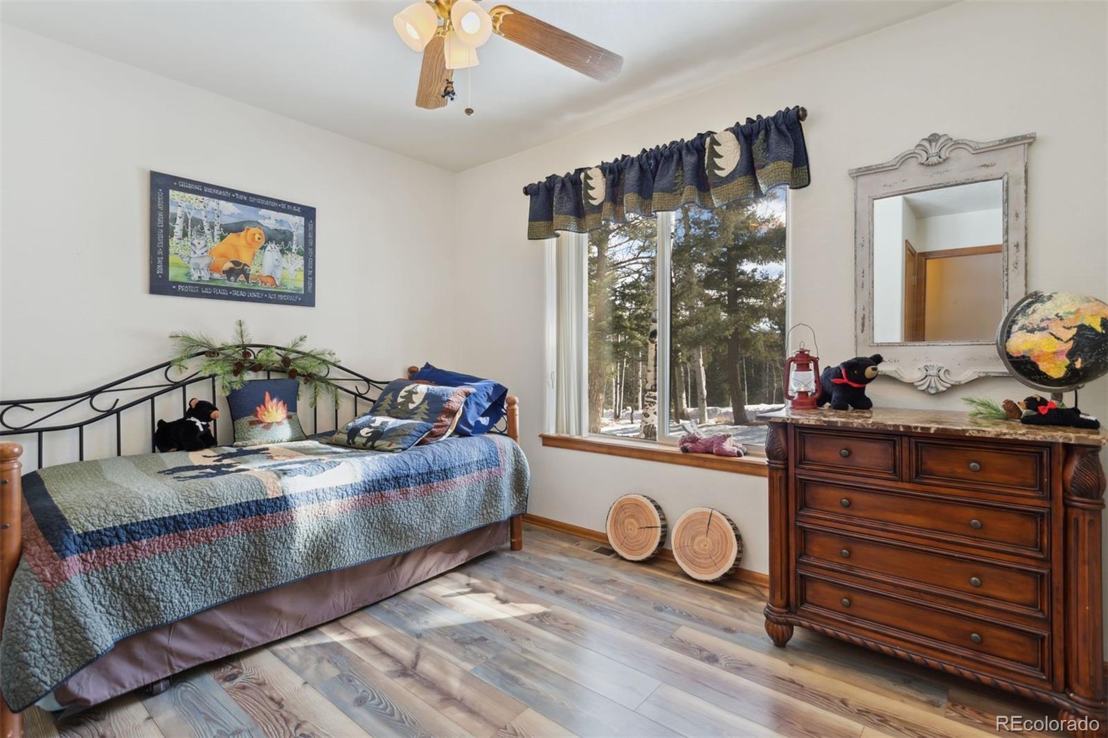 MLS Image #19 for 4055  omer lane,divide, Colorado