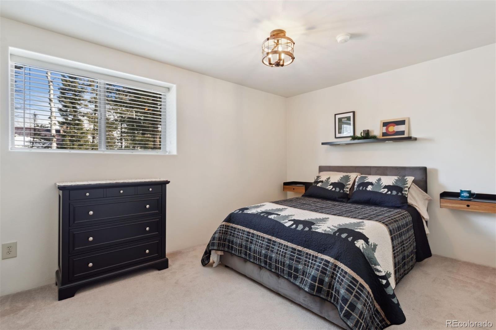 MLS Image #22 for 4055  omer lane,divide, Colorado
