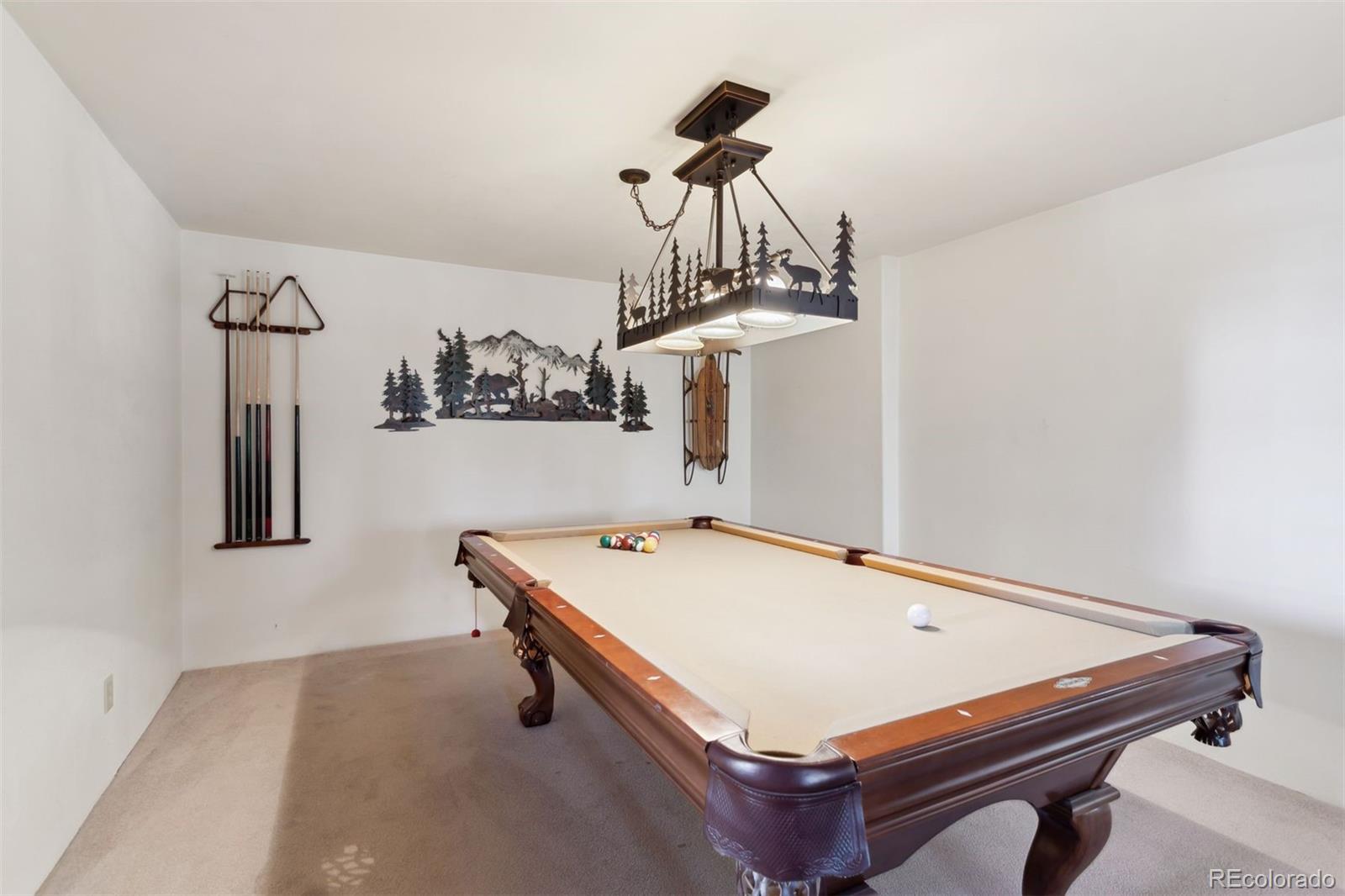 MLS Image #27 for 4055  omer lane,divide, Colorado