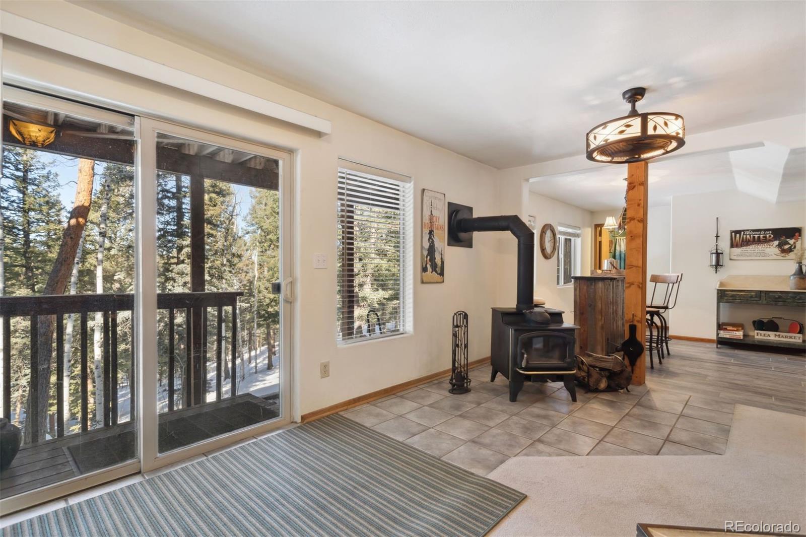 MLS Image #30 for 4055  omer lane,divide, Colorado