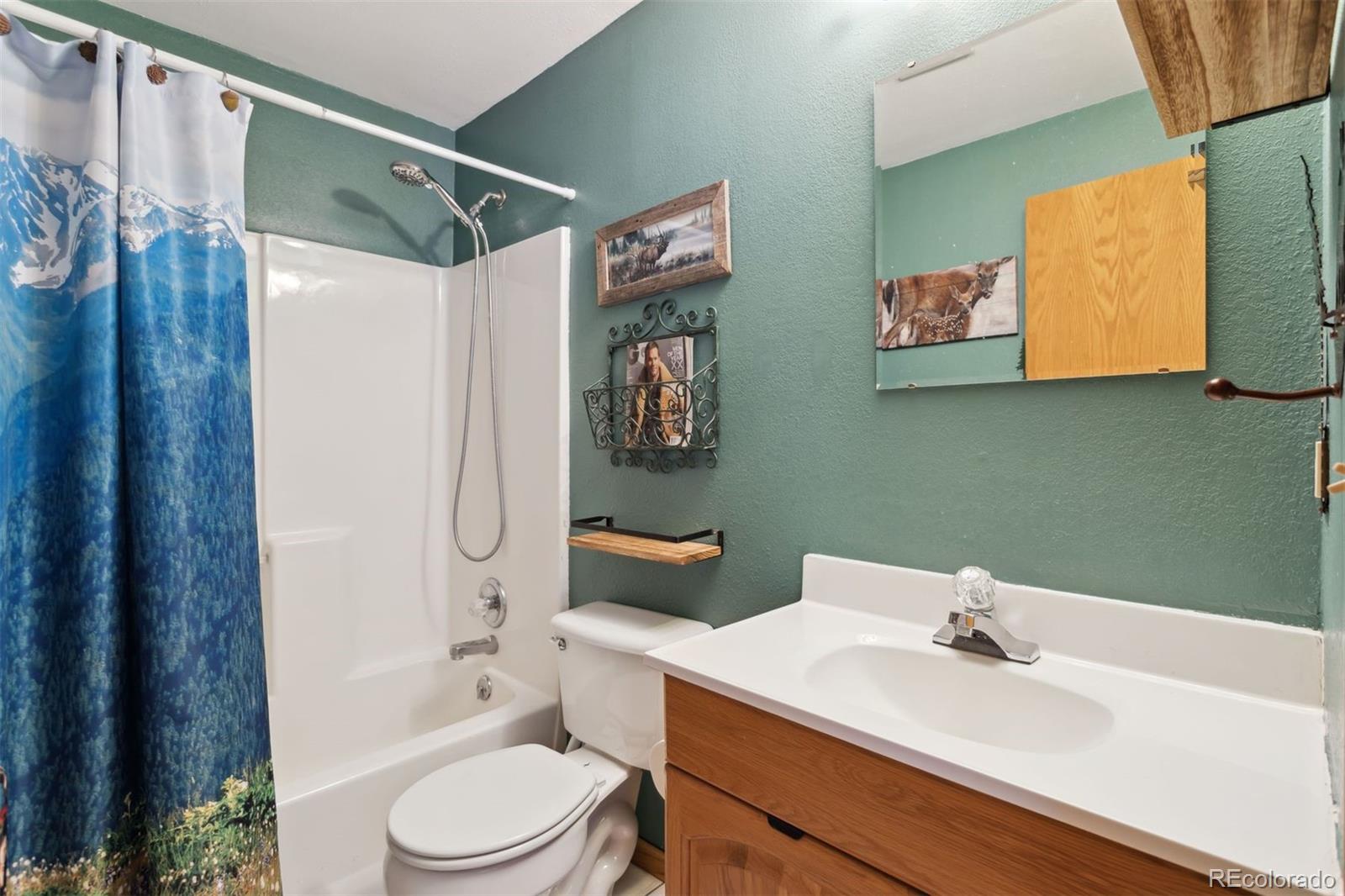 MLS Image #31 for 4055  omer lane,divide, Colorado