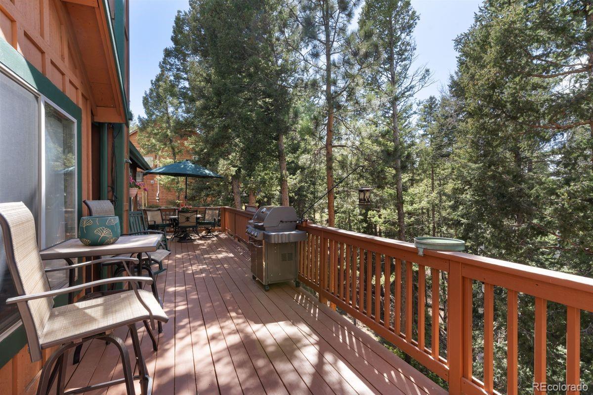 MLS Image #34 for 4055  omer lane,divide, Colorado