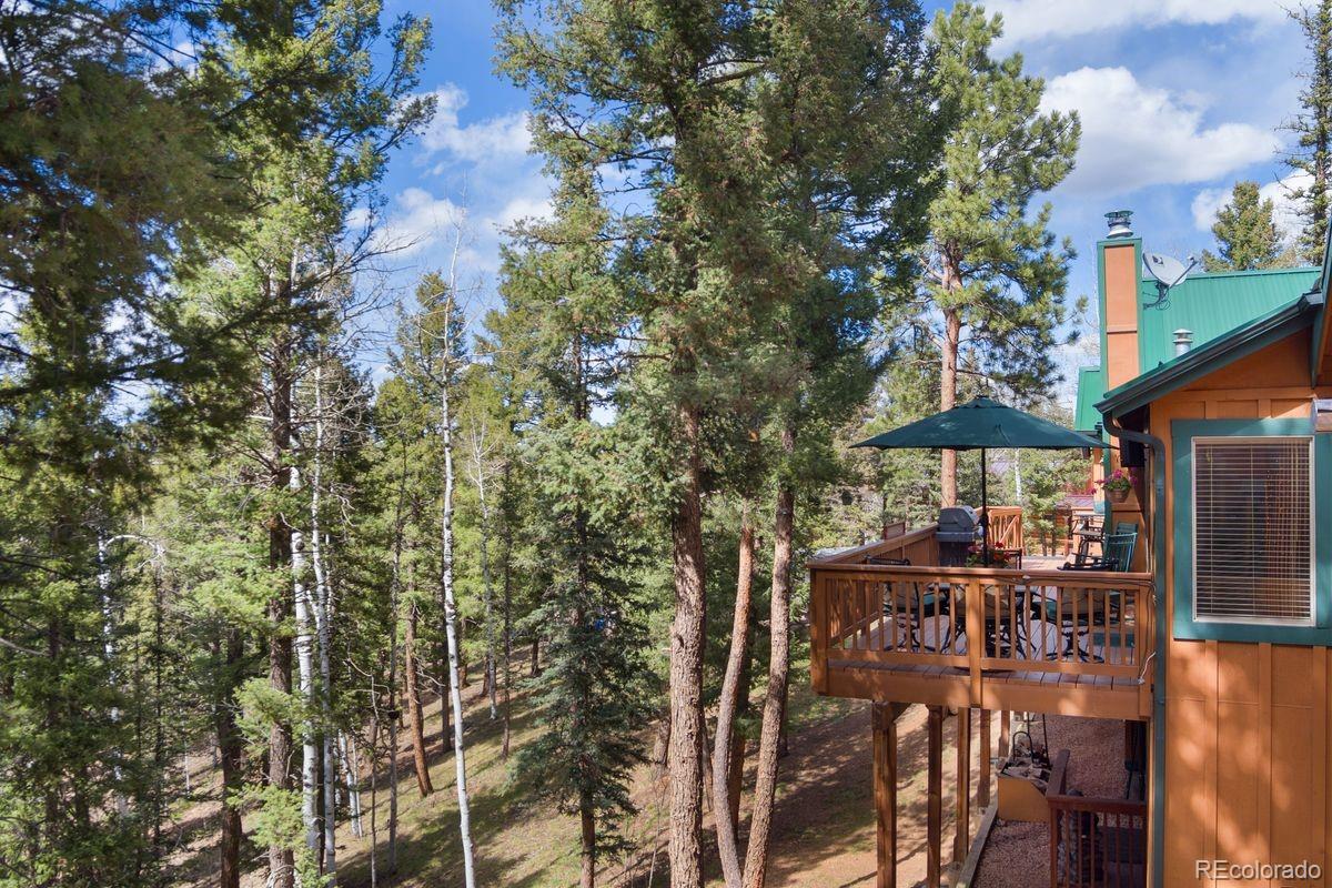 MLS Image #39 for 4055  omer lane,divide, Colorado