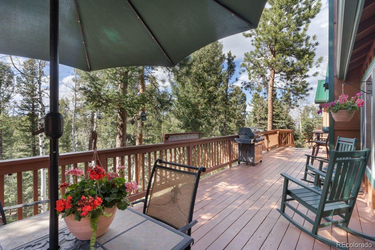 MLS Image #9 for 4055  omer lane,divide, Colorado